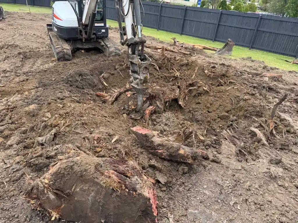 tree and stump removal large tree removal kingaroy